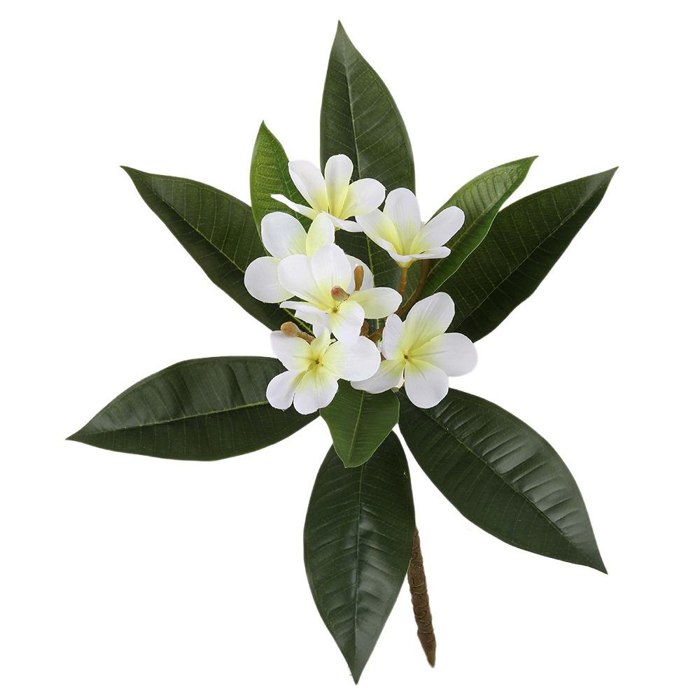 Real Touch Artificial Plumeria Flowers DIY with Green Leaves Simulation Frangipani Branch Multicolor Photo Props