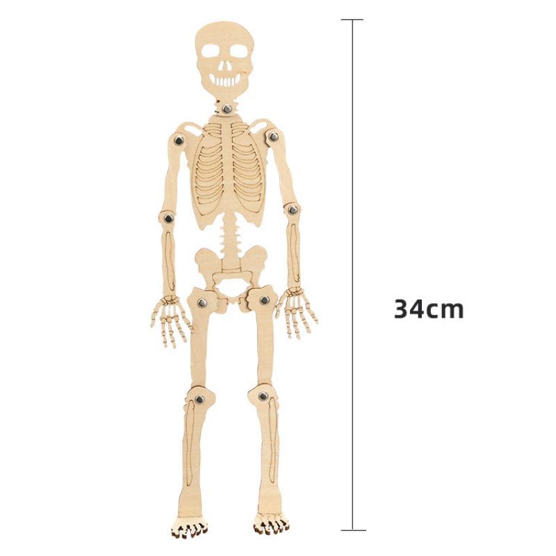 Модель человеческого скелета DIY Технология Сборка небольшого скелета Учебные пособия Детская головоломка Материалы ручной работы Упаковка