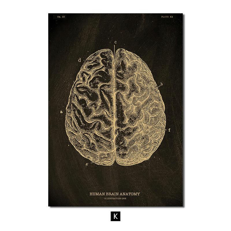 Анатомия человека, винтажный постер, скандинавский холст, художественный принт, золотой скелет, органы, живопись, настенные панно, медицинский домашний декор