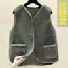 Lamb Fleece Granular Fleece Vest Fleece Thickened Thermal Vest Spring New Women's Fur Integrated Top Coat