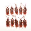 10Pcs Prank Funny Trick Joke Toys Lifelike Model Simulation Cockroach Kids Children Magic Props