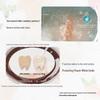 Зубная паста Crest Deep Clean Whitening Dual-Color