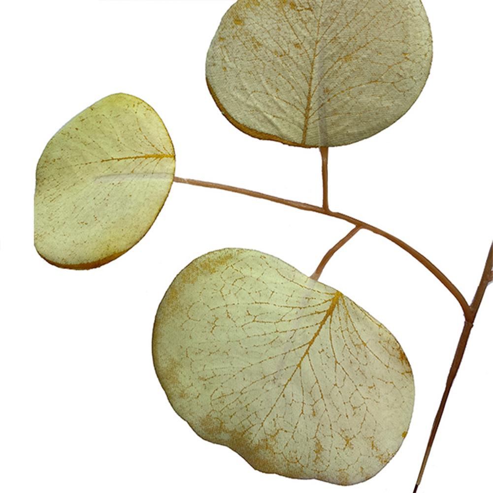 Simulation Eucalyptus Colored Leaves Photo Shoot Photography Background Props Tabletop Home Decor