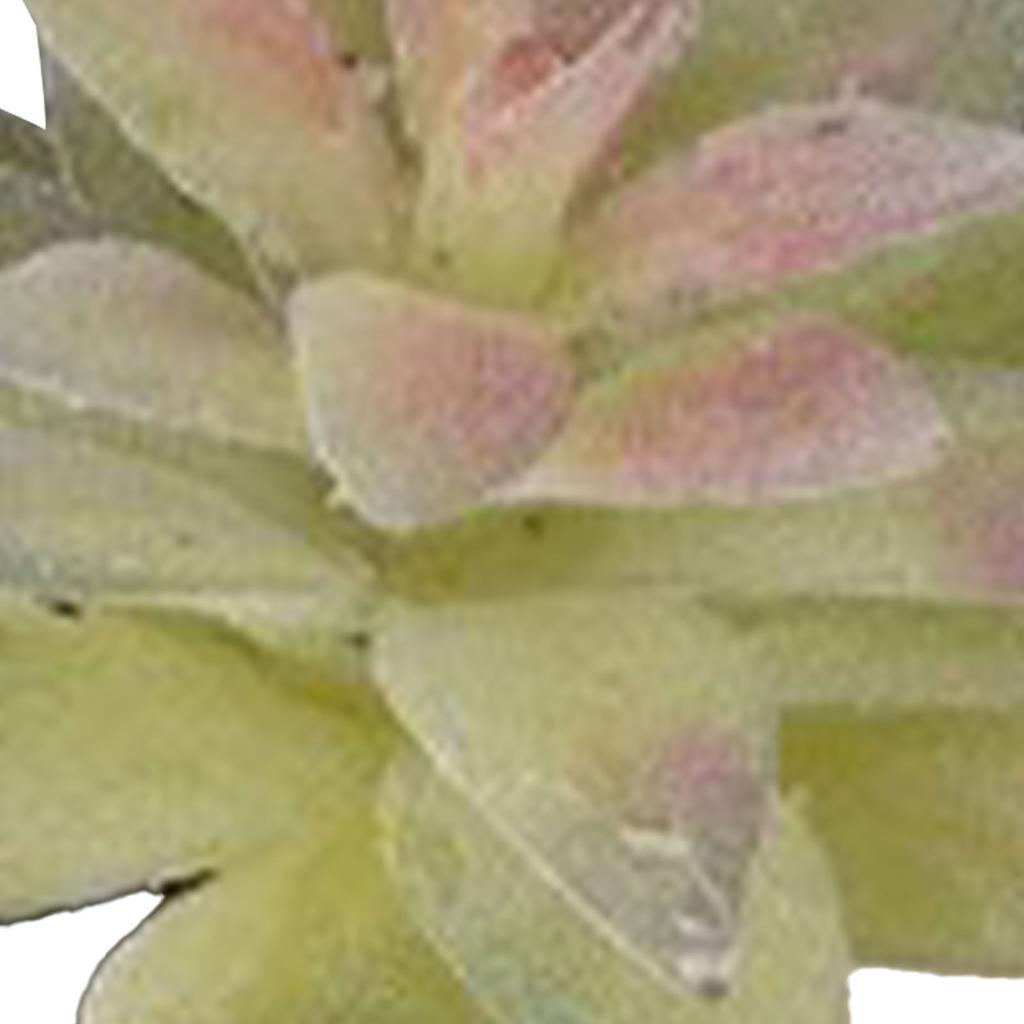 Искусственное суккулентное растение, мягкое ПВХ, высокая имитация, мини-поддельное растение для украшения стола в домашнем офисе