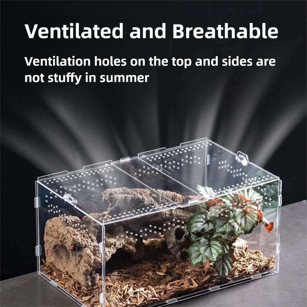 Anti-Escape Reptile Habitat Clear Spider Feeding Case Durable Lizard Breeding Box for Chameleon