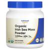Organic Irish Sea Moss Powder, Unflavored, 454G(16Oz)