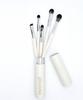 Edge Blending Brush Set (5 Brushes + Case)