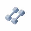 2 Pieces Dumbbell Vinyl Coated NonSlip Grip Hand Weight for Women, Beginners, Home