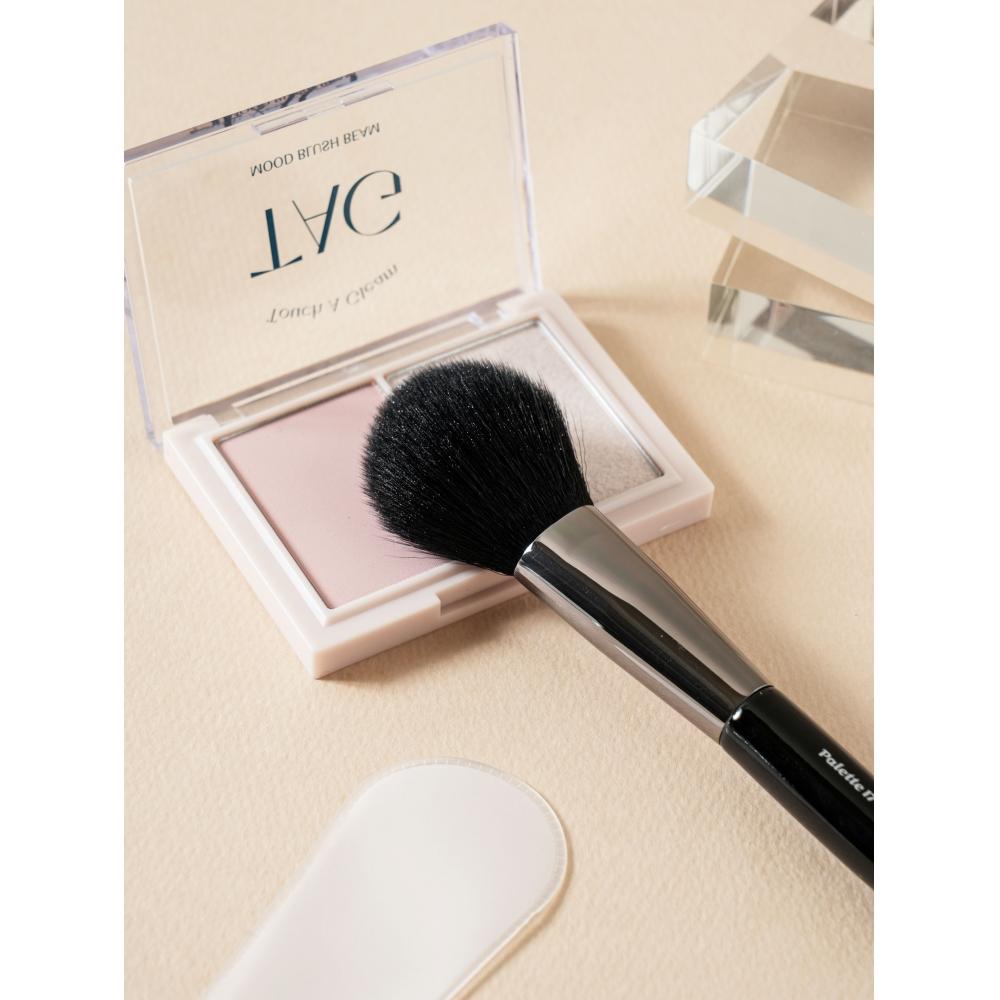 Daiso Palette 17 Blush Brush