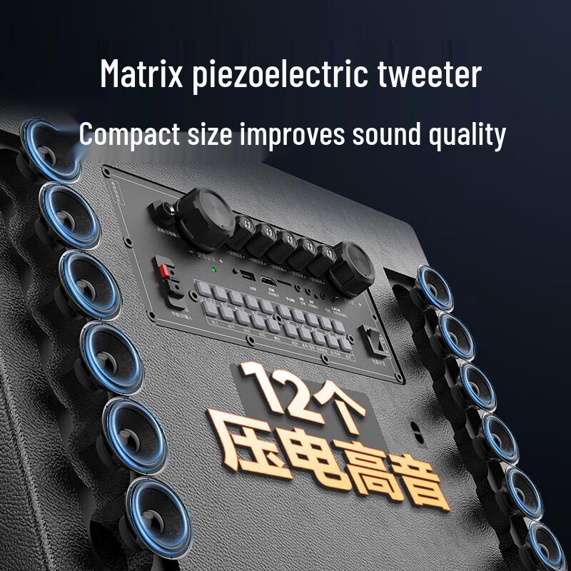 Shanshui Portable Outdoor KTV Speaker System