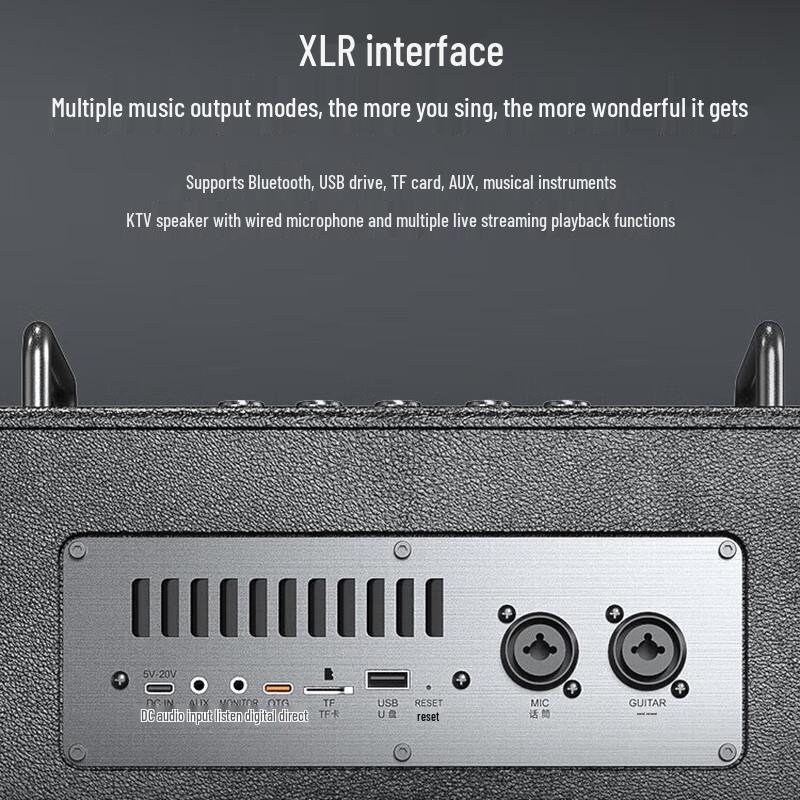 W-King T6Pro Outdoor KTV Bluetooth Speaker