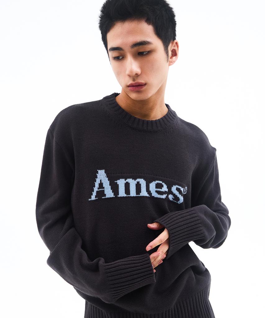 AMES-WORLDWIDE Basic Pullover Knit Charcoal