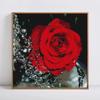 Flower Diamond 5d Diy Painting Rose Full Round Rhinestones Picture Diamond Embroidery