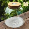 Moss Micro Landscape Glass Bottle: Creative Mini Plant DIY Paludarium