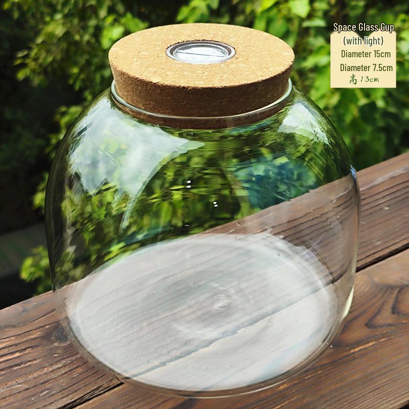 Moss Micro Landscape Glass Bottle: Creative Mini Plant DIY Paludarium