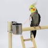 Bird Perch Parrots Stand Cockatiel Playstand Toy with Swing Ladder Chew Toy 55KF