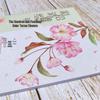 Huike Colored Pencil Art Book: 24 Solar Terms Flowers