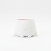 Decorative Flowerpot with a Smile, White, for Plants, Modern Design