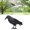 Simulated Black Crow Feathered Animal Halloween Prop Plush Crow Ghost Festival Ornament Horror Decor Crafts Fun Essential Item