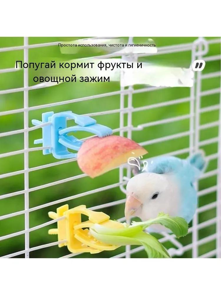 Держатель для фруктов и овощей для попугая Держатель для овощей Стойка для фруктовых закусок Принадлежности для корелл и павлинов Аксессуары для клеток попугаев Кормушка для попугаев