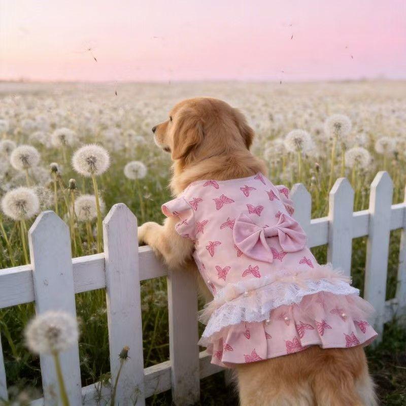 Samoyed Clothes Summer Poodle Bichon Schnauzer Corgi Border Collie Husky Labrador Golden Retriever Big Dog Clothing Dress 5XL
