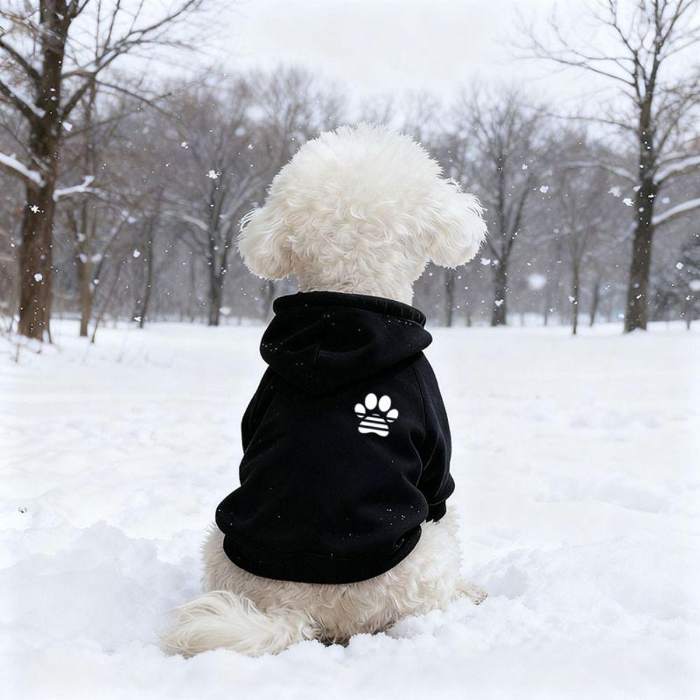 Windproof Dog Clothes Cotton Dog Sweatshirt Fashion Pet Coat Small Dogs