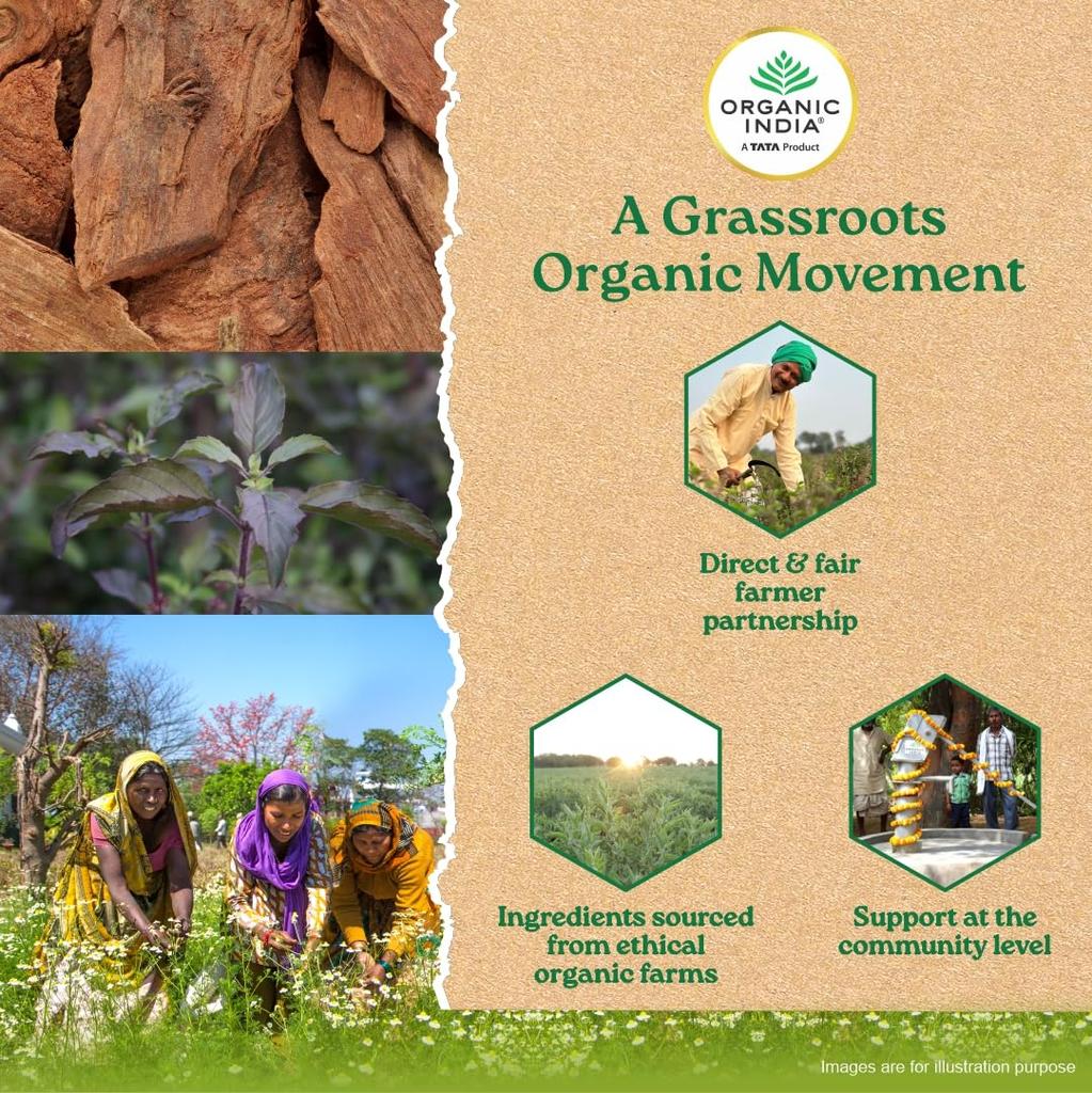 Organic India Lipid Care 60 Veg Capsules Pack of 2 Heart Health Cholesterol Support Supplement