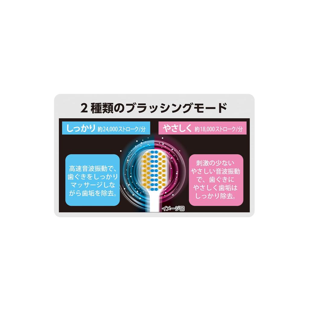 Care Electric Toothbrush for Easy Start [Ebisu] E-Premium Battery-operated