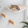 Настенный кровать-лежанка для кошек Котята Отдых Активности Сизалевая когтеточка для кошек Заточка когтей Тренировка Мебель для кошек в помещении