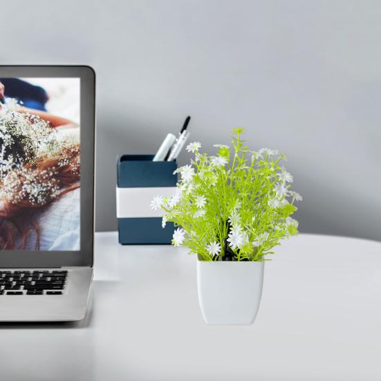 Красивые растения в горшках, не требующие полива, создают романтическую атмосферу