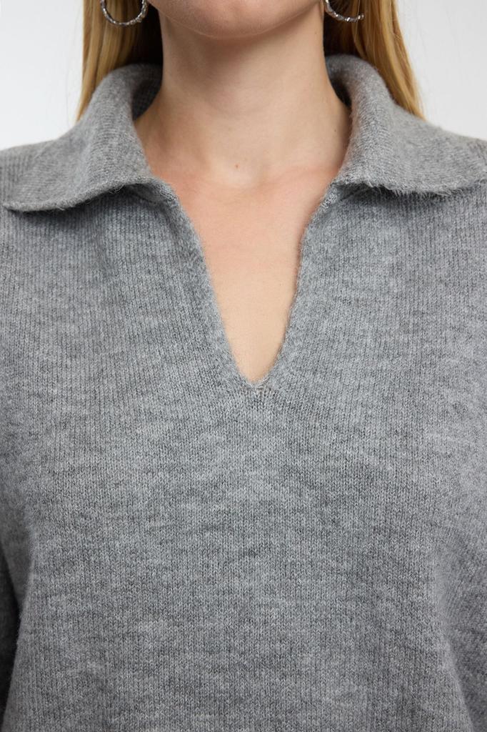 Women's Fashionable Stylish Sweater Pink Woolen Wide Fit Polo Neck Basic Knitwear Sweater