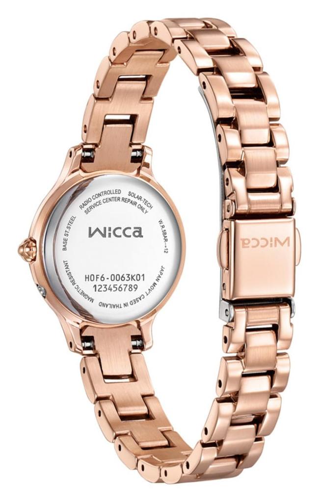 ГРАЖДАНИН Гражданин викка [Викка] KS1-961-11