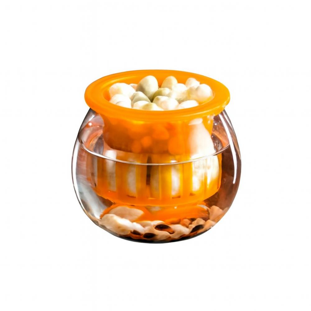 Пластиковый Цветочный Горшок Прозрачный Аквариум Креативные Горшки для Растений с Автополивом Настольный