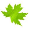 Yousheng Green Maple Leaf Door Stopper Wedge 3D Printed Simulation Leaf Model Windproof Anti-collision Carpet Tile Concrete Wooden Floor Decorative