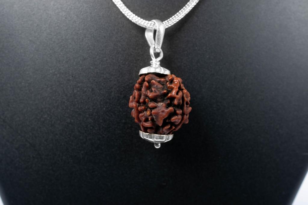 Natural 4 Mukhi Rudraksha 925 Siver Pendant - Nepali Origin | Vedic Bead For Meditation, Energy, Concentration & Clarity | Organic & Lab Certified