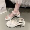 Small French Thick High-heeled Sandals Women's 2025 New Summer with Skirts Versatile Fairy Style Sandals Women