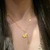 Xiaohongshu Golden Zodiac Hot-Selling Sparkling Ice-Crystal Pony Copper Coin Necklace, Horse Zodiac Accessory, Clavicle Chain, Exquisite Style