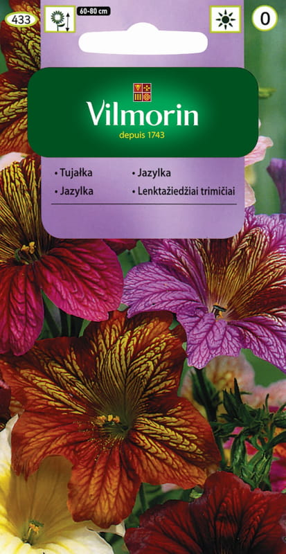 Thuja Variable Bolero Seed Mixture 0.5g - VILMORIN