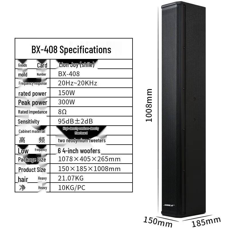 SHILE Professional Conference Audio System Set (CN version)