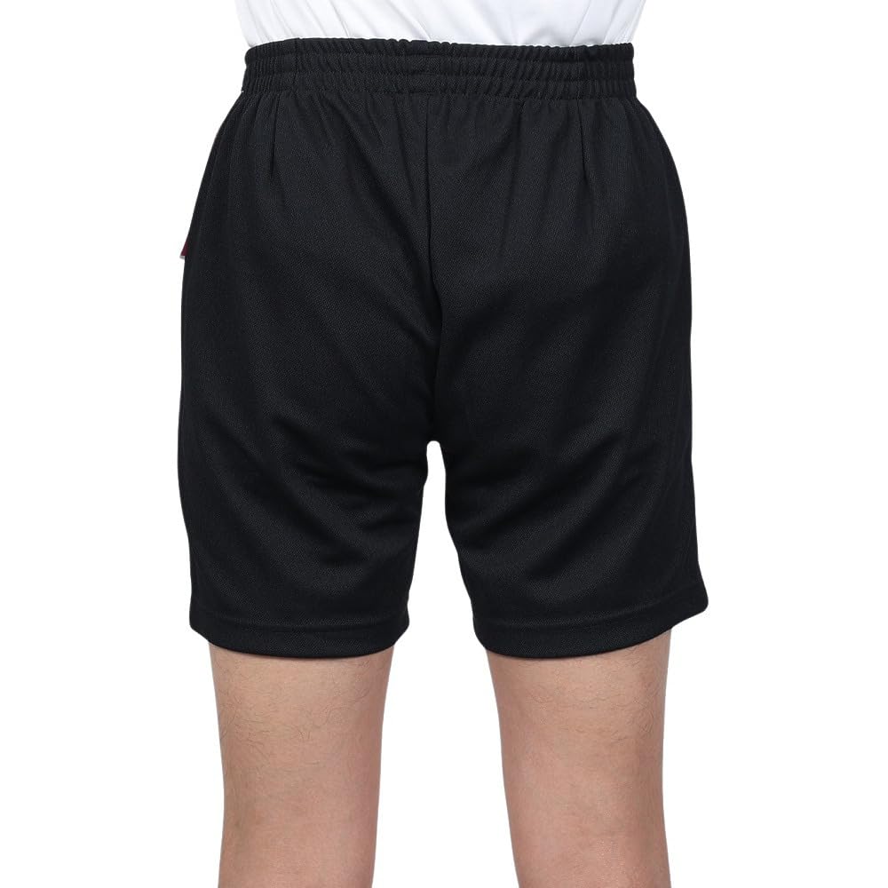 Half Quarter Sweat Suitable for One Point BWH 140 [DESCENTE] Pants, Pants, Volleyball, Absorbent, Stretch, Men, Women, Juniors, Unisex, Practice,