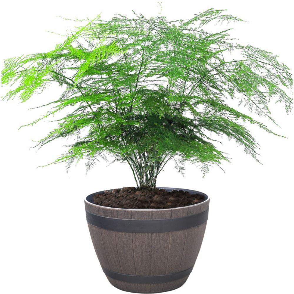 Breathable Round Flower Pot Decorative Flower Bucket Ornament Flower Arrangement