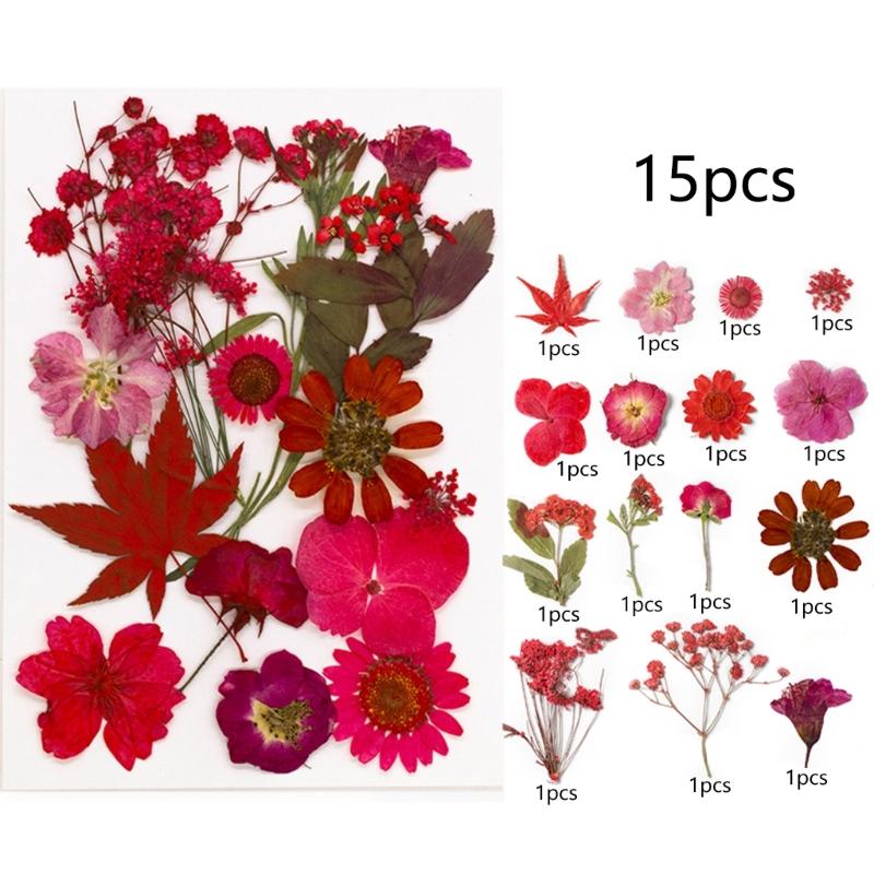495Piece Dried Flower Craft Set Including Pressed Blooms and Butterfly Stickers for Resin Art and Journal Decorating