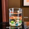 Eco-Friendly Desktop Fish Tank: Plastic Turtle & Fish Habitat with Imitation Glass, Micro Landscape Design for Home/Living Room Décor