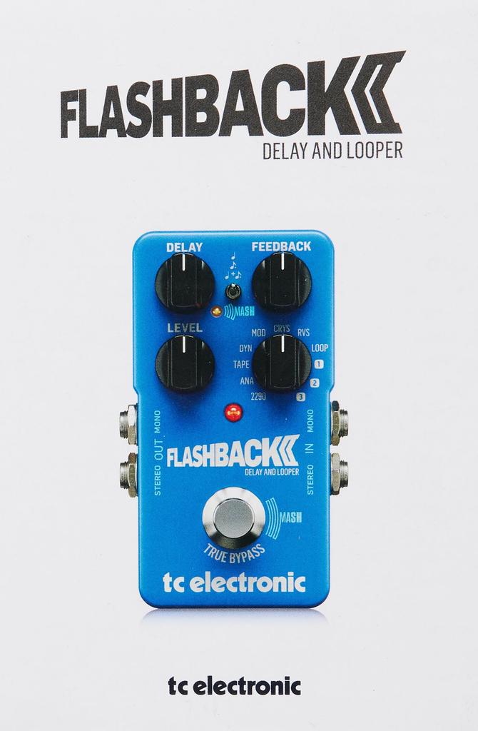 Tc Electronic Delay FLASHBACK 2 DELAY LOOPER &