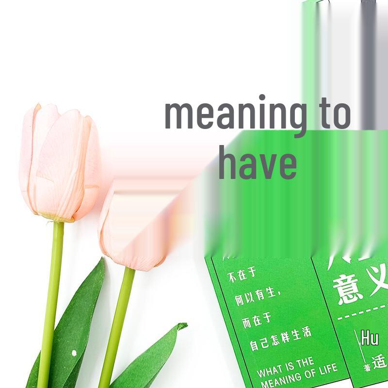 What is the Meaning of Life by Hu Shih