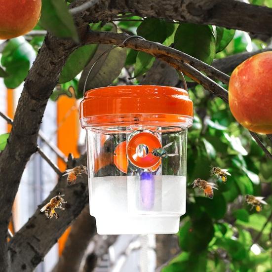 2Pcs Wasp Traps with Solar LED Light Auto ON/OFF Easy To Install Reusable Outdoor Hanging Fruit Fly Traps Insect Catchers