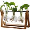 Wooden Frame Creative Hydroponic Plants, Light Bulb Glass Vase Holder, Hydroponic Retro Tabletop, Home Garden, Office Decoration -3 Light Bulb Vase