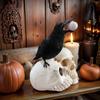 yangyizhi Raven on Skull Halloween Home Decor, Gothic Crow Statue, Bird Perching Skeleton Figurine, Macabre Ossuary Sculpture
