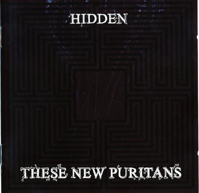 CD THESE NEW PURITANS - Hidden ARC065CD Angular Recordi 2010 Великобритания Танцевальная и электронная музыка Б/у