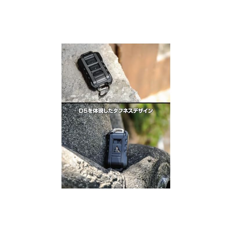 Seiko Sangyo EXEA Delica D:5 Чехлов для умного ключа E106DC Черный